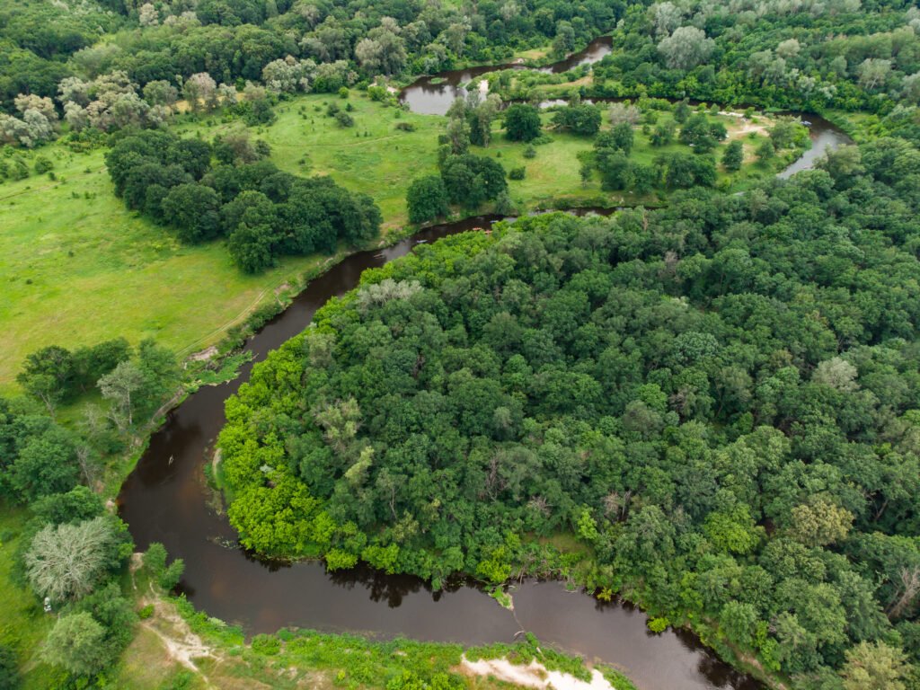 Aerial view over the river which is on the green forest.