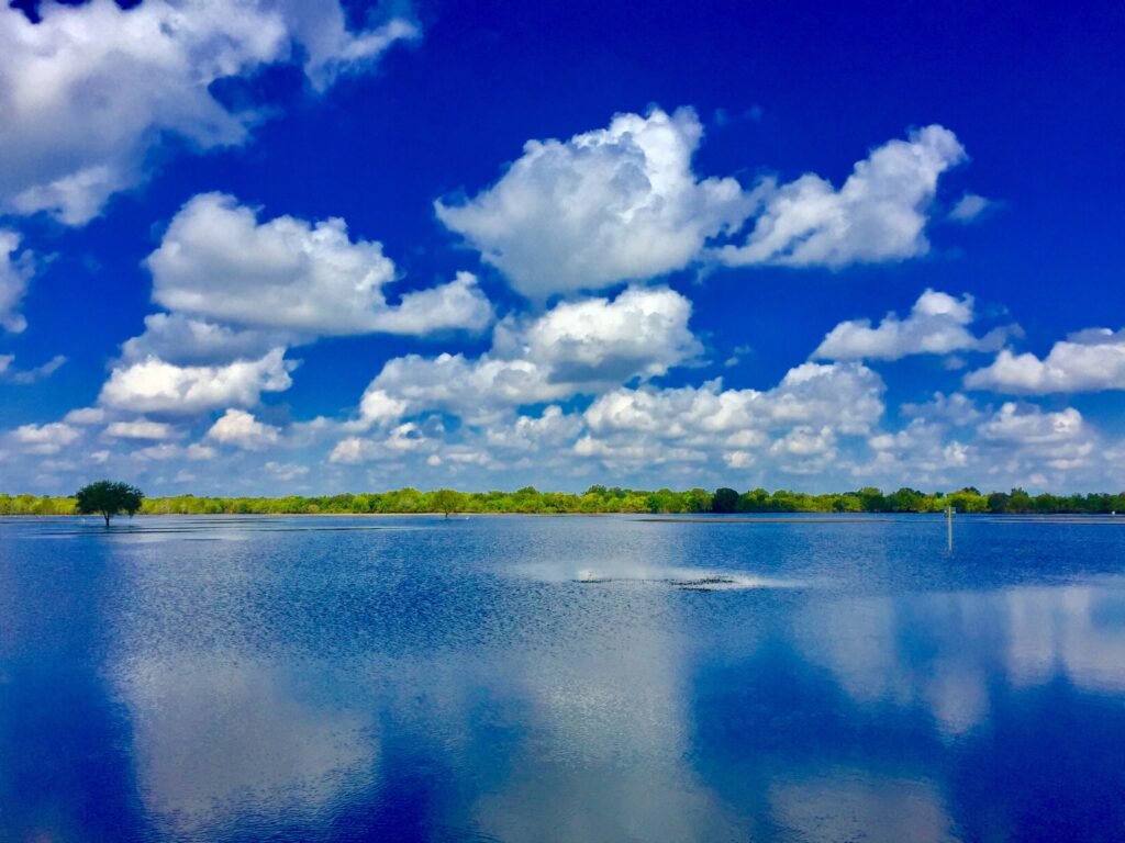 blue skies and water in florida