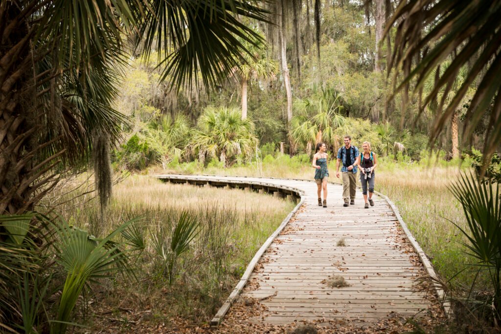 Hikers on walkway in florida