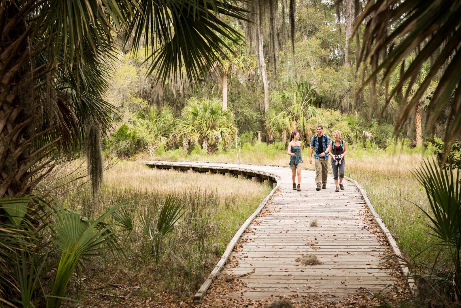 Hikers on walkway in florida